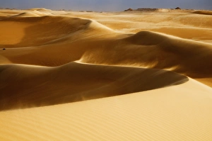 Images Dated 29th January 2008: Sand dunes, The Great Sand Sea, Western Desert, Egypt, North Africa, Africa
