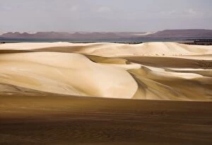 Images Dated 29th January 2008: Sand dunes, The Great Sand Sea, Western Desert, Egypt, North Africa, Africa