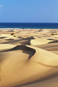 Maspalomas Prints: Sand dunes of Maspalomas, Maspalomas