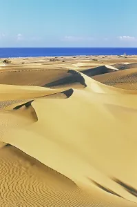 Costal Prints: Sand dunes, Maspalomas, Playa del Ingles, Gran Canaria, Canary Islands, Spain