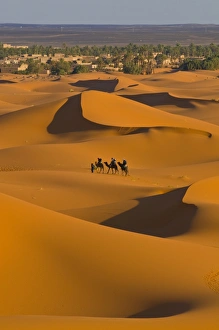 Images Dated 19th May 2008: Sand dunes, Merzouga, Morocco, North Africa, Africa