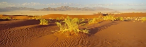 Sand dunes and mountains