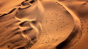 Yellow Colour Prints: Sand dunes of Namibian Desert, Namibia, Africa