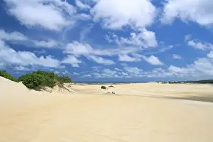 Brazilian Prints: Sand dunes, Pitangui, Natal, Rio Grande do Norte state, Brazil, South America