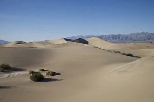 Sand Dunes Point