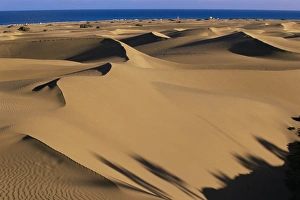 Sand dunes and sea, Maspalomas, Gran Canaria, Canary Islands, Spain, Atlantic, Europe Sand dunes and sea, Maspalomas, Gran Canaria, Canary Islands, Spain, Atlantic, Europe