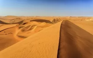 Images Dated 15th July 2008: Sand dunes shaped by wind, Deadvlei, Sossusvlei, Namib Desert, Namib Naukluft National Park