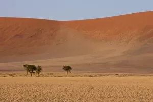 Images Dated 18th March 2008: Sand dunes, Sossusvlei, Namib Desert, Namib Naukluft Park, Namibia, Africa