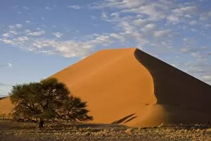 Images Dated 16th March 2008: Sand dunes, Sossusvlei, Namib Desert, Namib Naukluft Park, Namibia, Africa