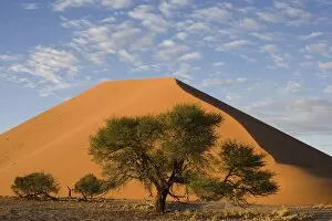Images Dated 16th March 2008: Sand dunes, Sossusvlei, Namib Naukluft Park, Namib Desert, Namibia, Africa