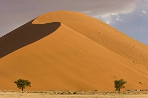 Images Dated 16th March 2008: Sand dunes, Sossusvlei, Namib Naukluft Park, Namib Desert, Namibia, Africa