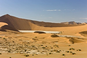 Images Dated 16th March 2008: Sand dunes, Sossusvlei, Namib Naukluft Park, Namib Desert, Namibia, Africa