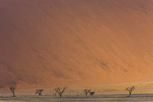 Images Dated 15th March 2008: Sand dunes, Sossusvlei, Namib Naukluft Park, Namib Desert, Namibia, Africa