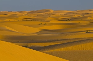 Sand dunes at sunset, near Chinguetti, Mauritania, Africa