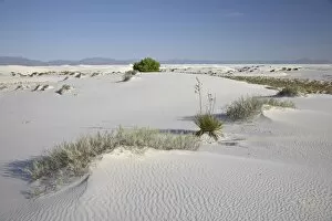 Images Dated 20th June 2007: Sand dunes, White Sands National Monument, New Mexico, United States of America