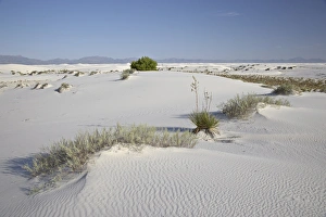 Images Dated 20th June 2007: Sand dunes, White Sands National Monument, New Mexico, United States of America