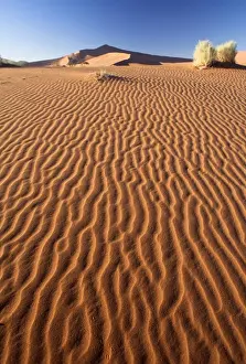 Sossusvlei Prints: Sand Ripples on one of the ancient orange dunes of the Namib Desert at Sossusvlei