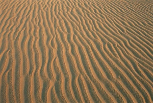 Ripple Prints: Sand ripples, between Kharga and Dakhla oases, Western Desert, Egypt, North Africa