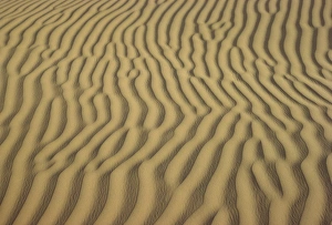 Sand ripples, Sahara, Algeria, North Africa, Africa