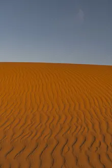 Rippled Prints: Sand ripples in the sand dunes of the Tenere Desert, Sahara, Niger, Africa