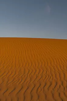 Rippled Gallery: Sand ripples in the sand dunes of the Tenere Desert, Sahara, Niger, Africa