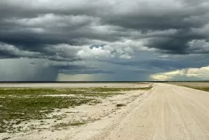 Sand road and heavy shower, Etosha National Park, Namibia, Africa
