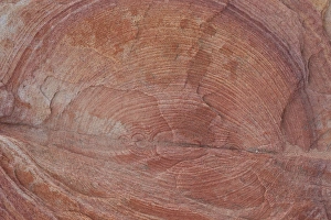 Rings Prints: Detail of sandstone with circular rings