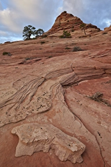 Textured Prints: Sandstone cone and clouds, Zion National Park, Utah, United States of America, North