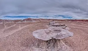 New Mexico Prints: Sandstone that has been eroded into forms that resemble clam shells on the south end of Petrified Forest National Park