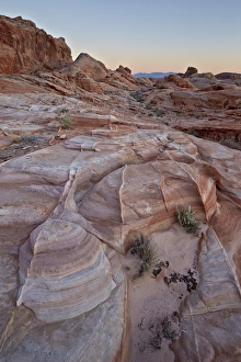 State Park Prints: Sandstone formations at dawn, Valley of Fire State Park