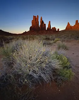 Tribal Park Prints: Sandstone formations in evening light with scrub in foreground