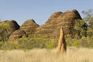 Sandstone hills and termite mounds in The Domes area of Purnululu National Park (Bungle Bungle), UNESCO World Heritage Site, Western Australia, Australia, Pacific