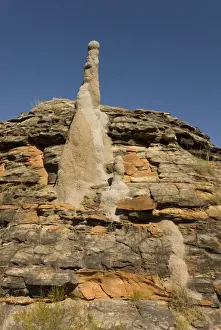 Bungle Bungle Prints: Sandstone hills and termite mounds in The Domes area of Purnululu National Park (Bungle Bungle)