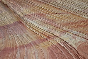 Natural Pattern Prints: Sandstone layers and lines, Coyote Buttes Wilderness, Vermilion Cliffs National Monument