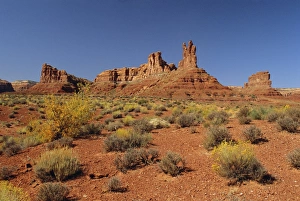 Shrub Prints: Sandstone monoliths
