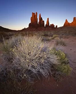 Images Dated 6th November 2008: Sandstone pillars bathed in golden evening light, Monument Valley Navajo Tribal Park