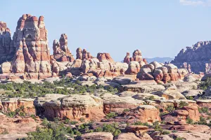 Sandstone pinnacles, Chesler Park, The Needles district, Canyonlands National Park, Utah