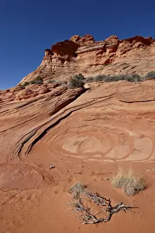Sand Stone Prints: Sandstone and red sand, Vermillion Cliffs National Monument