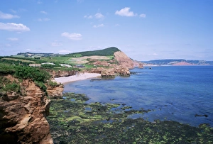 Sandstone stacks and cliffs, Ladram Bay, Devon, England, United Kingdom, Europe
