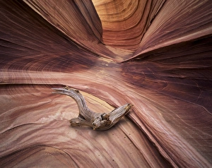 Vermillion Cliffs Prints: Sandstone wave