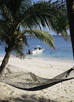 Hammock Prints: Sandy Bay, Bahamas, West Indies, Central America