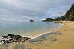 Sandy Beach Prints: Sandy Bay, Marakau, Abel Tasman National Park, South Island, New Zealand, Pacific