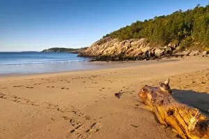 Images Dated 8th October 2010: Sandy Beach, Acadia National Park, Mount Desert Island, Maine, New England