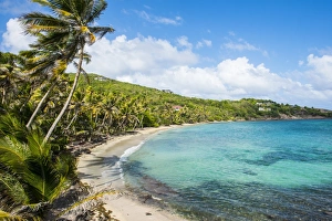 Grenadines Prints: Sandy beach on Industry Bay, Bequia