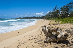 Sandy beach on Kapaa Beach Park on the island of Kauai, Hawaii, United States of America, Pacific