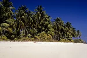 Sandy beach and palm trees, Bangaram Island, Lakshadweep Islands, India, Indian Ocean, Asia
