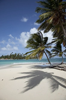 Sand Beach Prints: Sandy beach and palm trees on Dog Island, San Blas Islands, Panama, Central America