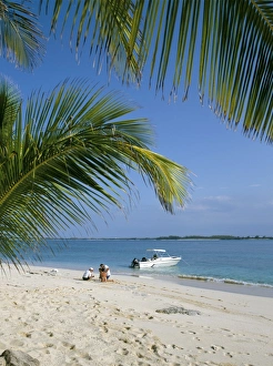 Palm Frond Prints: Sandy Cay, Bahamas, Central America