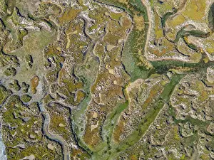 Ecology Prints: Sandy wetlands viewed from above in Algarve region of Portugal showcasing winding waterways