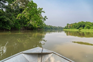 Cruise Prints: Sangha River, Dzanga Sangha National Park, UNESCO, Central African Republic